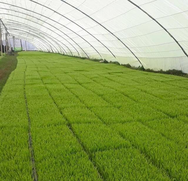 تخصص و تجربه