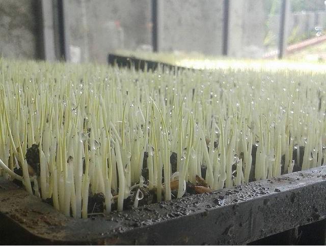 مشاوره رایگان