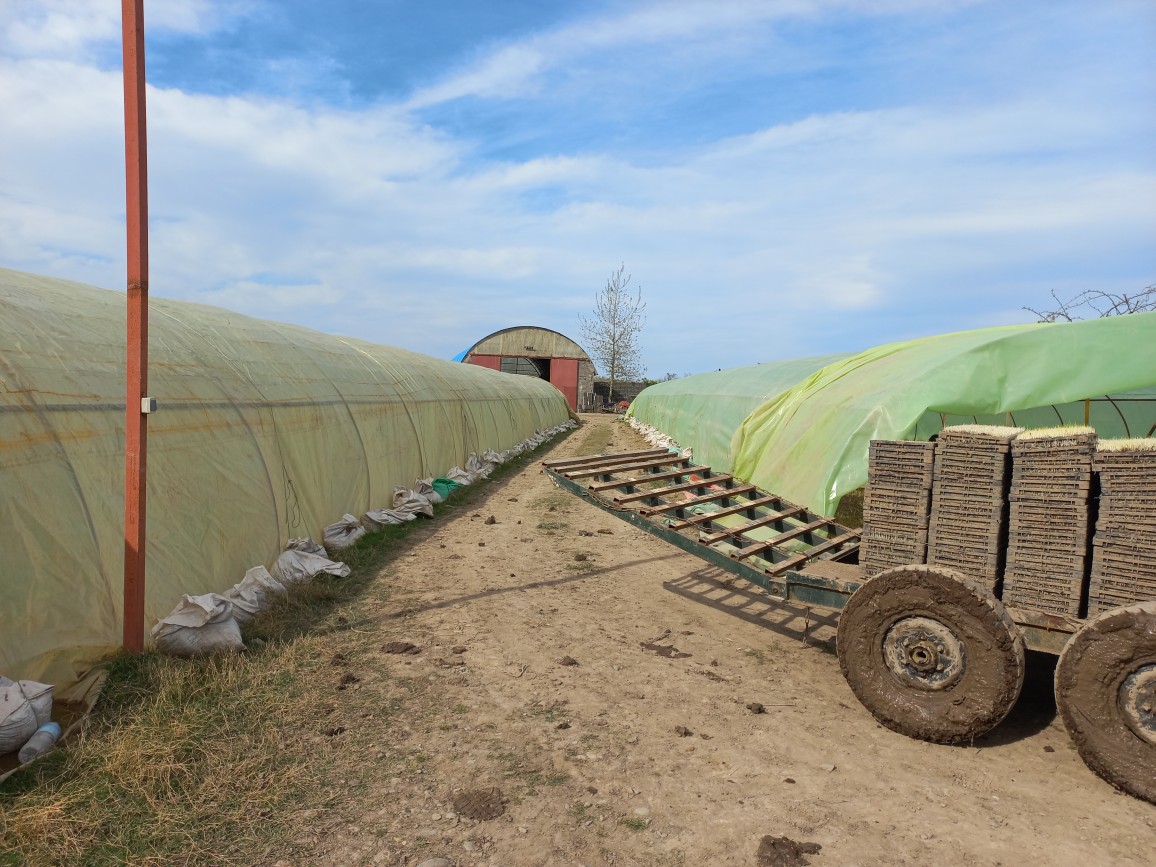 چرا بانک نشاء نجفیان بهترین انتخاب در بندر انزلی – آبکنار است