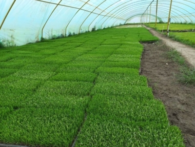 آموزش روش‌های مراقبت و پرورش