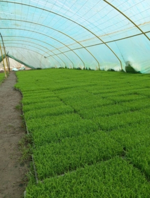 مزایای استفاده از محصولات بانک نشاء نجفیان در بندر انزلی